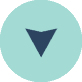 next section navigation arrow